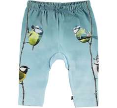 Sabb Pants